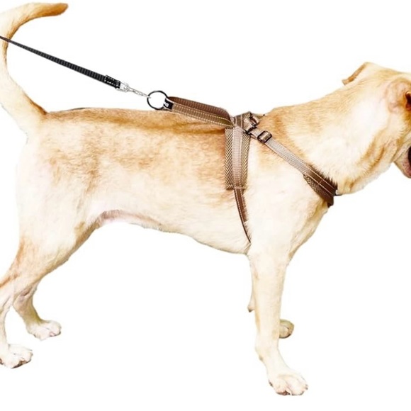NWT dog harness - Picture 2 of 8